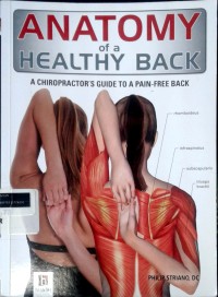 Image of Anatomy of a healthy back: a chiropractor's guide to a pain-free back