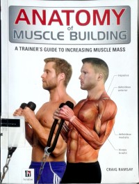 Image of Anatomy of muscle building: a trainer's guide to increasing muscle mass