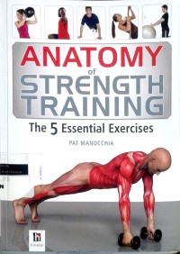 Image of Anatomy of strength training: the 5 essential exercises