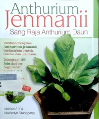 Image of Anthurium jenmanii: sang raja anthurium daun