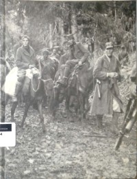 Image of Partisan dan gerilyawan