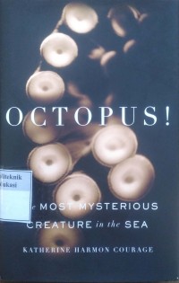 Image of Octopus: the most mysterious creature in the sea