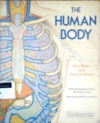 Image of The human body